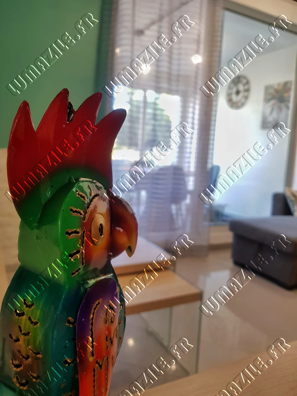 Parrot